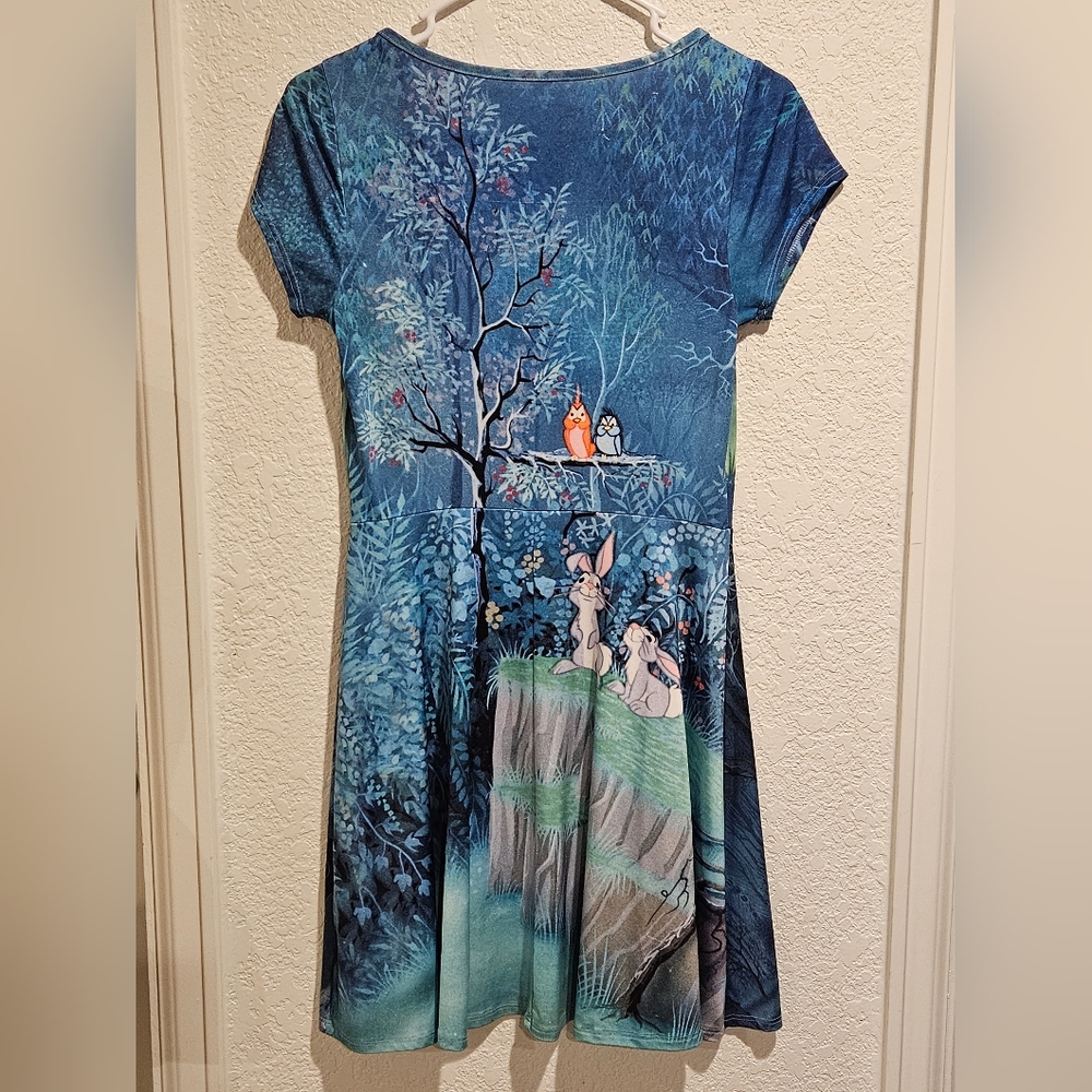 Disney Sleeping Beauty Blue and Green Dress with Red Accents Size Small - Picture 3 of 5